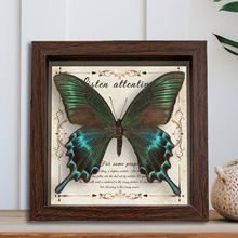 ������˱���� ľ�|�b�DIY�͹����[̨�Ҿ��b����նY��YƷ