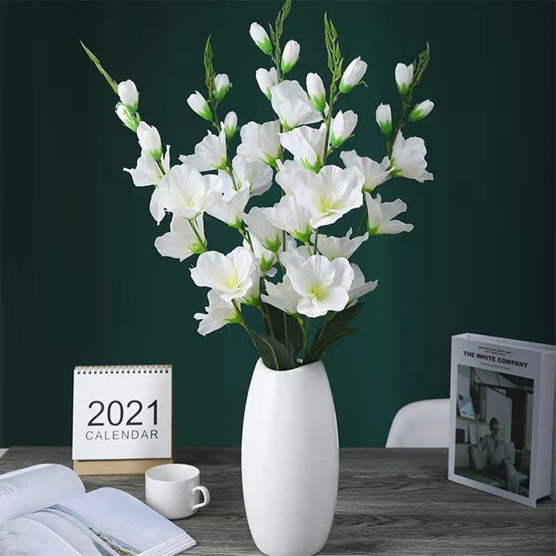 흰색 1 가지 (분지 없음)