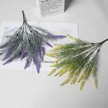 �羳���滨Ѭ�²ݼٻ����뻨���⹤��ֲ��b���@�L����ֲ��