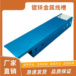 Hongji Fireproof Spray-Plastic Galvanized Cable Bridge Metal Steel Ladder-Type Iron Wire Trough 200 150 100 75