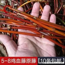 戒指原藤粗野生鸡血藤手镯藤条山南原材料裸工具手镯西藏装饰演出