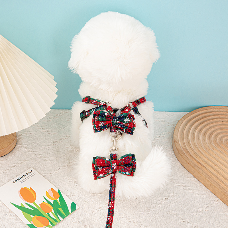 눈송이 가슴과 등 빨간색과 녹색