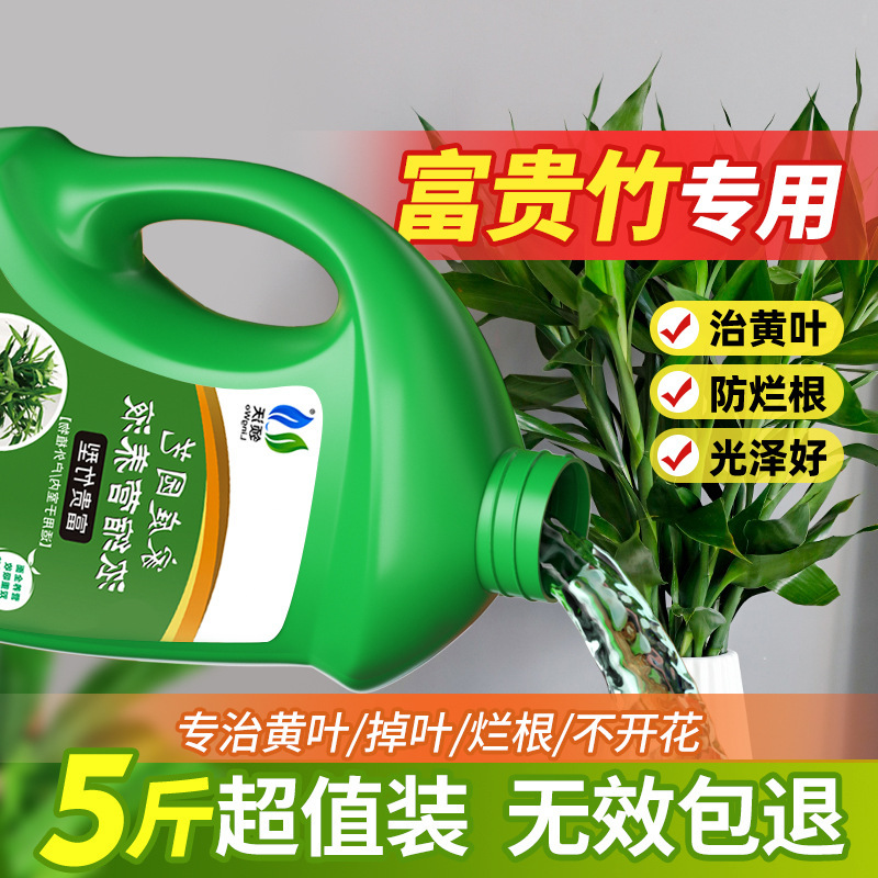 Lingwo 養液植物ユニバーサル花緑植物金のなる木水耕豊かな竹の花の肥料ドロップシッピング|undefined