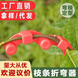 ���B��ֲ��֦�lӖ�����辰�ɘ䉺֦�ۏ��D���������������L�A�Gֲ