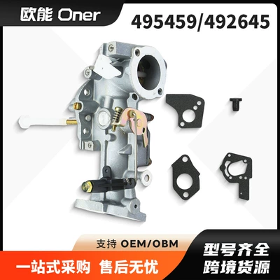 Suitable for Briggs Stratton 495459 492645 490524 692784 Carburetor 5Hp (Carburetor)