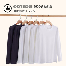 ��ʽ�oӡ�����L��T������Ʒ��H��������ɫ��ɫ�߿���250g����