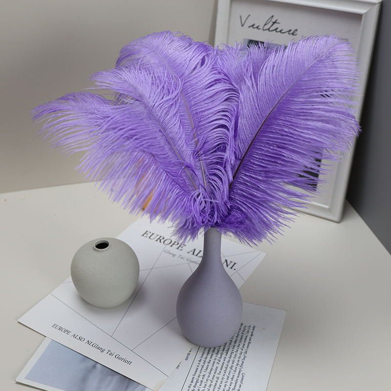 Plumas de avestruz bodas blancas de avestruz guía de plumas accesorios de fotos adornos rojo rosado en línea grandes plumas decoración