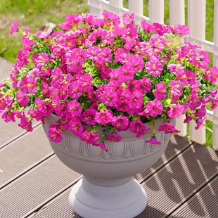 ���쁆�R�d���滨�ȼ���������ţ�����Ȳ����Ҿ��҃ȑ��⻨�@�b�