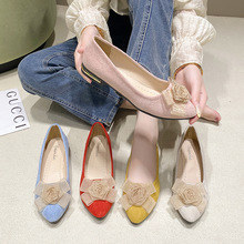 �羳��ЬŮ2026���＾�¿�r�к����Y���^�\��һ�_��ƽ�׶���ưЬ