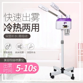 其他美容仪器;美容喷雾仪;烫染工具