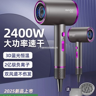 German Hair Dryer Household Negative Ion Hair Care Dormitory Student Barber Shop Special Electric Hair Dryer Quick-Drying Hair Dryer 713