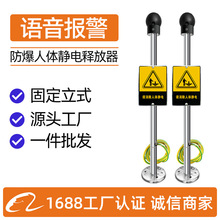 本安型人体静电释放器防爆工业消除器加油站化工厂报警发生器高压