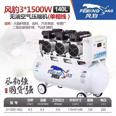 Hava kompressorları — 380V Oil-Free Silent Large - 31500-140l-220v
