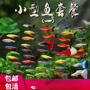 ���w�����~���B�~���ͻ������ˮ�^�p�~С�Ϳ�ȸ���R�~��̖�Ꭷ