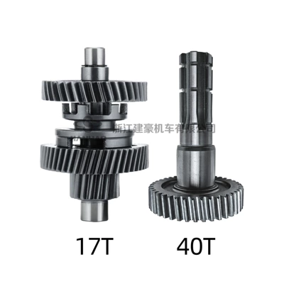 assembly, Motorcycle engine and accessories - gear-shift-assembly-17toutput-shaft-40t