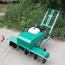 ��ѵ���ƺ�����C �˹��Nֲ��Ƥ����о��C ��ֲ�ݵظ�C�S��