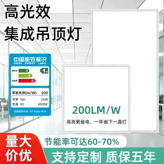 定制出租房精修房矿棉板led面板灯 600x600高光效集成吊顶平板灯