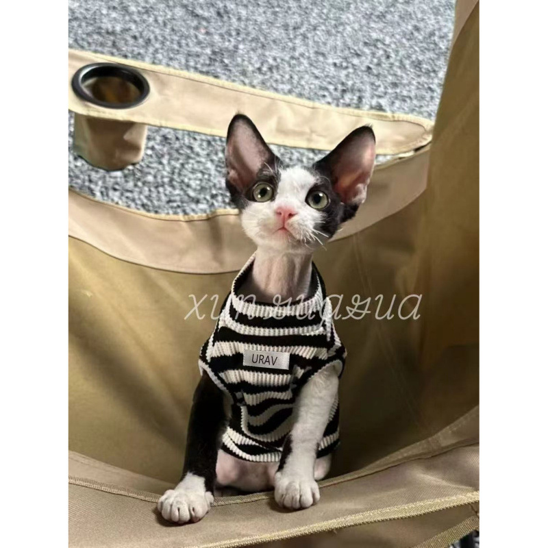 Ropa de gato alemán, perritos respirables, primavera y verano, delgados, antipello, felinos sin mangas, mascotas, ropa de dos pies.