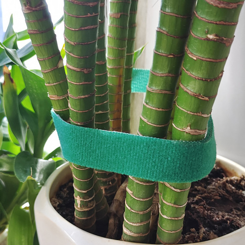 Back-to-back Velcro ties to cut garden plants at will, Velcro cable management cables and wire straps wholesale