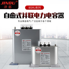 户外电容器愈式并联电力电容器 BSMJ系列 低压自愈式电容器