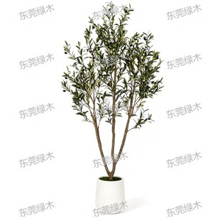 Artificial Olive Tree �ϙ������