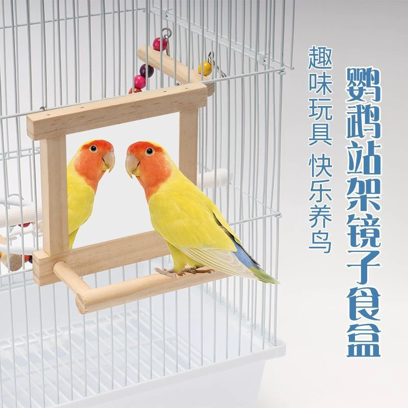 Принадлежности попугая из тигровой шкуры пион Сюаньфэн кусает палку