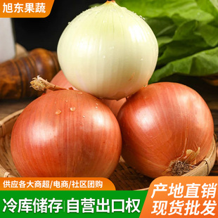 ���ڌ���6-8cm���[��С�[�^��Сë�[�^���t�[�^����ˮ�����[