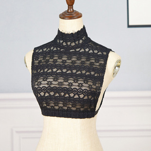 New Half-high Collar Autumn and Winter All-match Base Shirt Lace Fake Collar Women's Sweater Decorative Collar Simple Fake Collar
