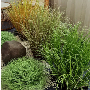 �����Ѳ��JȔ�����w�Gɫ�ݶ��̈�����diy���^�����݅��݈F�ٲ��b