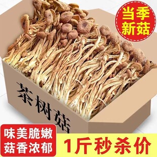 �����乽��؛500g��؛�r�����r��н���o���㹽Ģ����ᘹ���