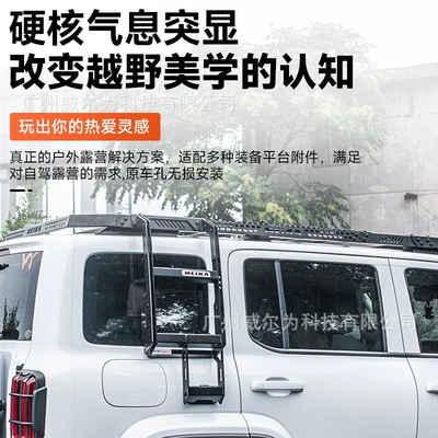 Tank 300Hi4-T: Tank Roof rack