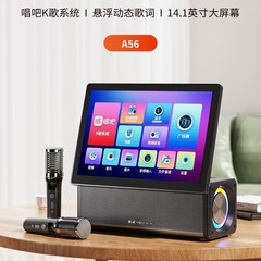 【新款】金正A56S联网14.1寸 K歌视频音响WIFI无线手机同屏 双话