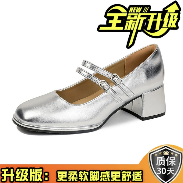 Silver-Upgrade Version