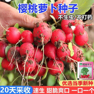 �����}���N��ˮ���}���N�����߲˴�ȫ�ļ��̨ͥԺ���������}���N