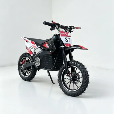 electric off-road motorcycle, Elektrikli motosikletlər