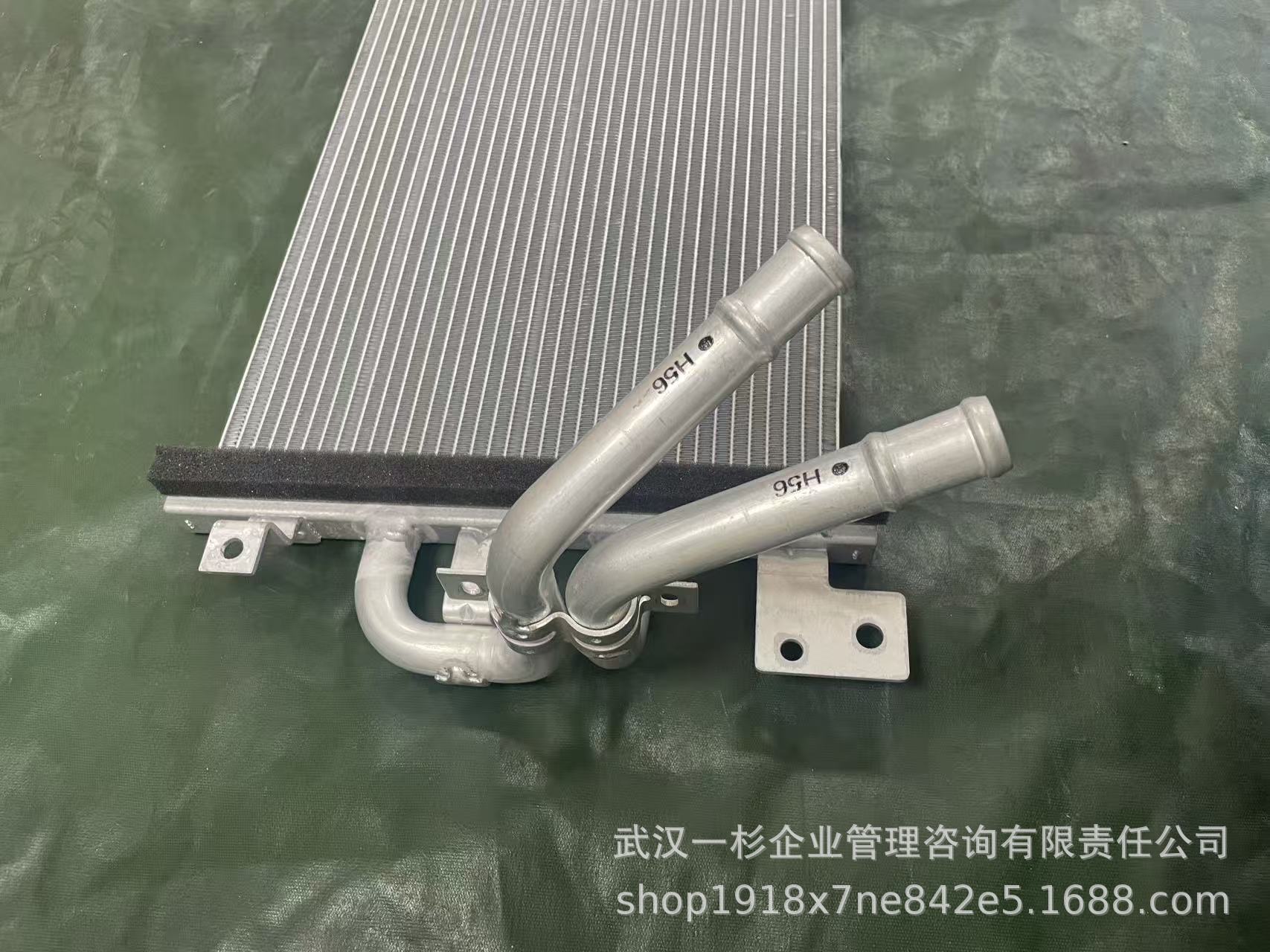 Direct sales from the original manufacturer H56A1301001AA 130101003 Lantu Dreamer Hybrid Low-Temperature Radiator