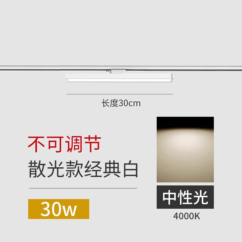 White 30cm-30w--neutral light (not adjustable)