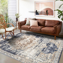 跨境北欧家用客厅满铺地毯沙发茶几复古民族风卧室床边毯可代发