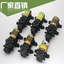 �S��ֱ�N12V��Ĥ�Ç��F������ˮ�� 늄Ӈ��F����� ˮ�� �߉����l