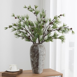 �����Rβ��ѩ�ɘӰ��g�b���Gֲ��ᘷ����ɘ�֦�廨������֦