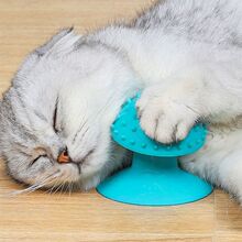 ؈���W���N��������ϴ�谴Ħ���ﰴĦˢ؈ץ���鲼��ĭ����