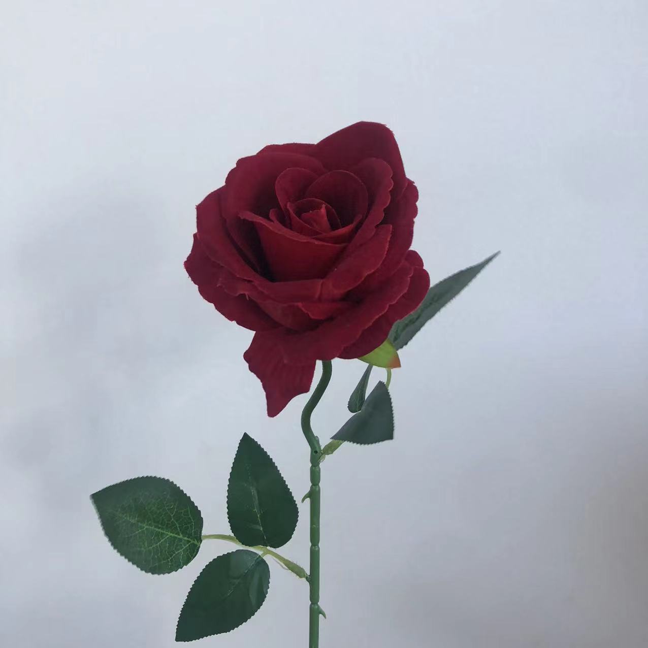 와인 레드