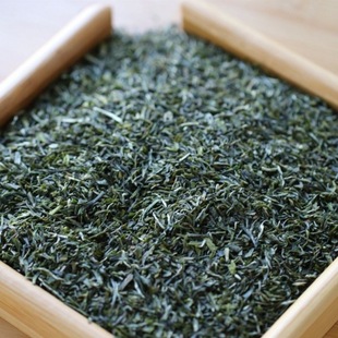 2024��ꖲ��~ë��G���ѿ�����ؼ���ѿ��ǰ�²�ĭ�����ɽ������