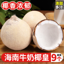 海南牛奶椰皇9个装新鲜椰青当季煲鸡汤老椰子肉椰宝椰汁美味 杰宏