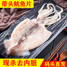 【免清理去内脏大鱿鱼】新鲜鱿鱼片整只鲜活冷冻野生鱿鱼整只烧烤