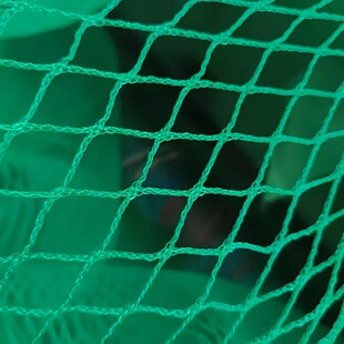 �羳�Gɫ�ߠ���������W�����W�҃�������ظ��xӖ���ߠ������W