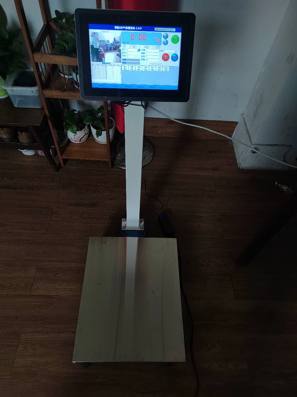 С записью видео с фоновым программным обеспечением столовая шкала получения с фотографией WIEI функция интеллектуальные электронные весы