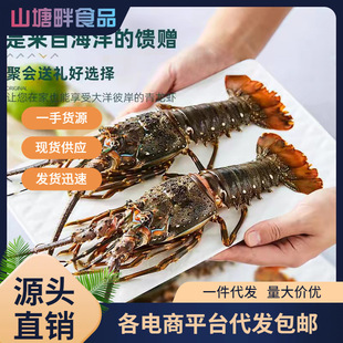 �������r������Ұ��С�������r���������r�����rԽ��ˮ�a�������l