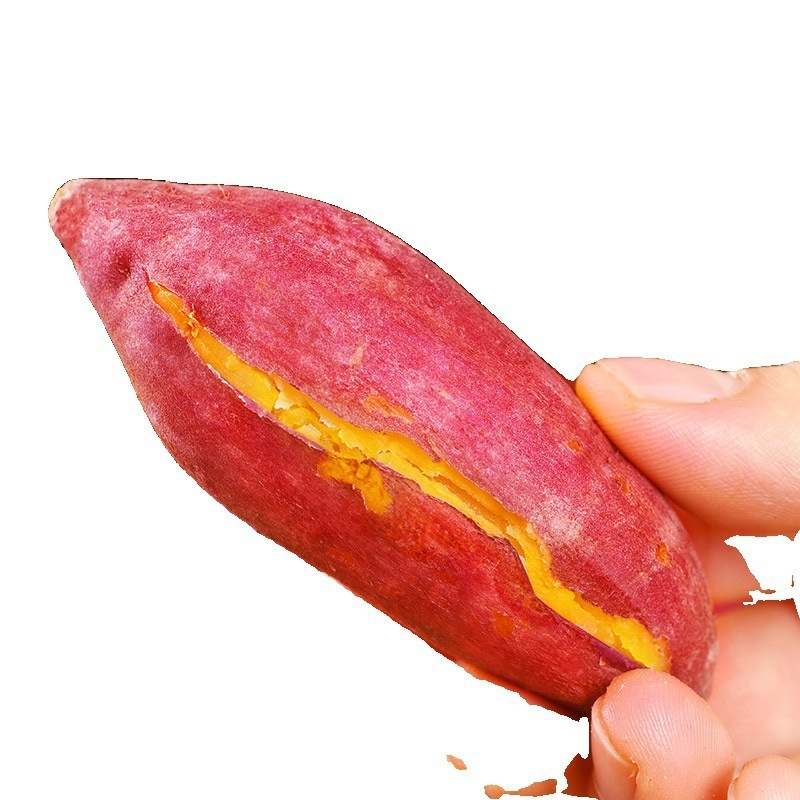 正宗沙地红心蜜薯红薯新鲜农家糖心番薯山芋批发包邮现挖现发地瓜|undefined