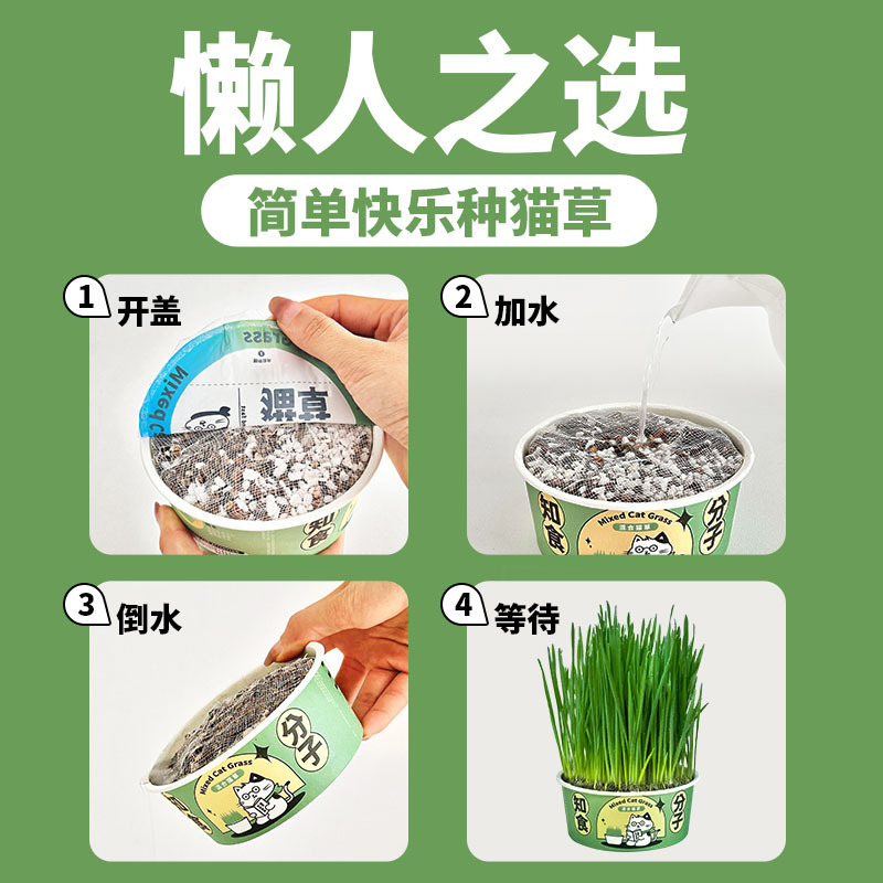 Hierba para gatos, planta perezosa, plantación de bocadillos para gatos, bola de pelo, salvador, bocadillos para gatos, fideos instantáneos, caja de hierba para gatos, spot al por mayor